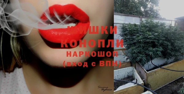 spice Баксан